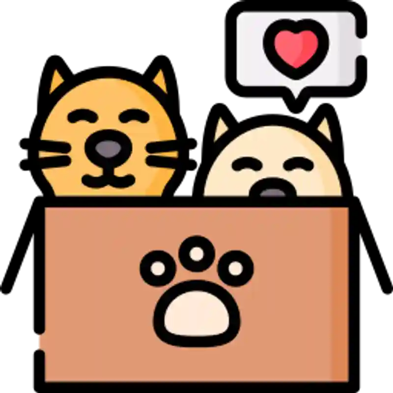 Pets and Accessories